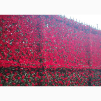 Artificial Wall Flower Mats for Sale