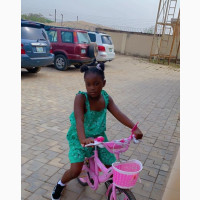 20 Bicycle
