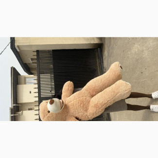American Big Mouth Bear Stuffed Animal
