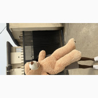 American Big Mouth Bear Stuffed Animal
