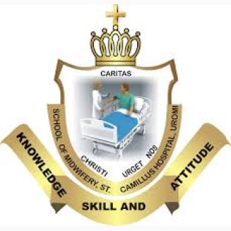 St. camillus School of Basic Midwifery, Uromi 2025/2026 nursing Form is Out Call