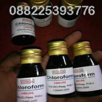 Jual Obat Tidur Sleeping Beauty Asli 088225393776