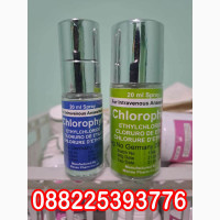 Jual Obat Tidur Sleeping Beauty Asli 088225393776
