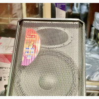 Feed Back Speaker