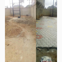 Designed Concrete Sting/Interlocking