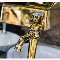 Golden Basin Taps