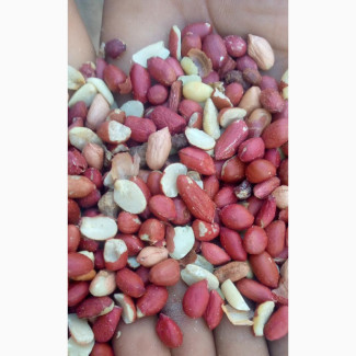 Perennial Seeds - Quality Raw Products for Sale