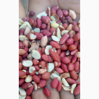 Perennial Seeds - Quality Raw Products for Sale