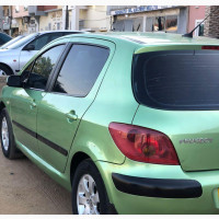 Peugeot 307 1.6 Premium 2005 Green - Clean and Reliable