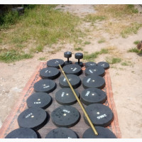 Weight Dumbbell and Barbell