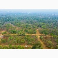 Buy a Land in Precious Estate Layout 60 by 100 in Nkanu