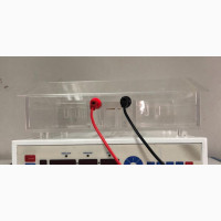 Digital Electrophoresis Machine for Genotype Testing