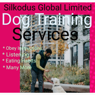 Professional Dog Training Services
