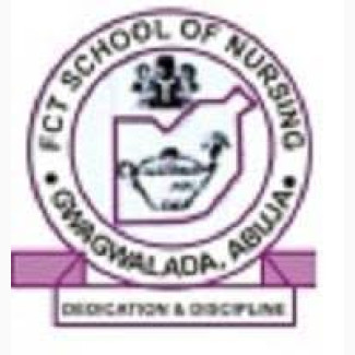 Fct School Of Nursing Gwagwalada 2025/2026 08068530732 nursing form