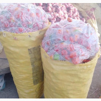 Fresh Pepper - High Quality, Affordable Prices