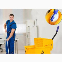 Wringer Trolley