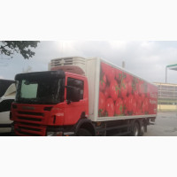 SCANIA Truck 270