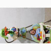 Fisherprice Electric N Battery Operated Baby Swing