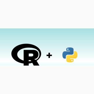 Data Scientist
