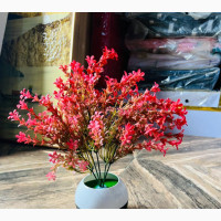Sweet Home Flowers