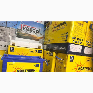 230a Tubular Battery
