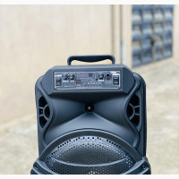 12 Inches Public Address Speaker