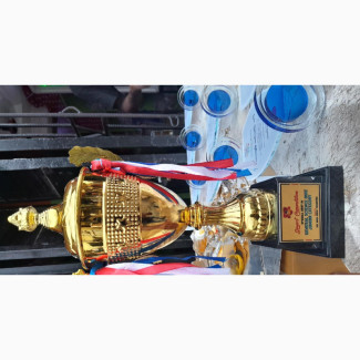 Gold Trophy Award with Custom Printing M900