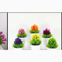 Garden Brand New Plastic Flower Pots - Beautiful Table Flowers