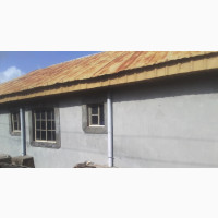 Wall Screeding