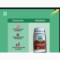 Nri Nature Gift for Stroke
