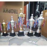 Silver and Gold Trophies