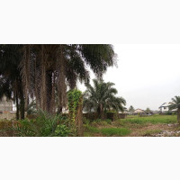 Land for Sale in Port Harcourt, Rivers State