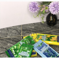 Home Interiors Closet Deodorizer