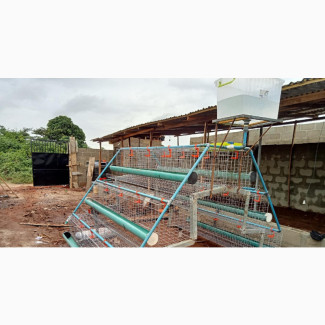 Layers Battery Cage