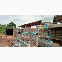 Layers Battery Cage