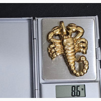 Scorpion Pendant/Locket