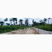 50 Plots Eneka Rumunduru Fenced