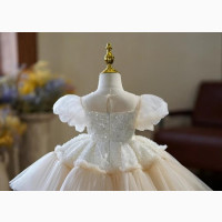 Children Girl Dress Little Bride Flower Girl Ball Gown