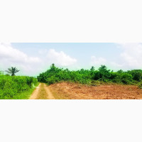 Ekó Ranch Estate