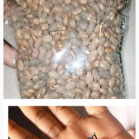 Ghana Miracle Detox Seed