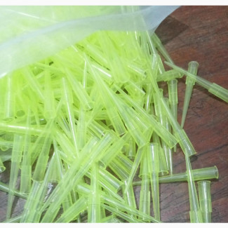 Yellow Tips