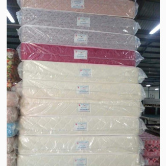 6*6*10 ROYALFOAM Gallant