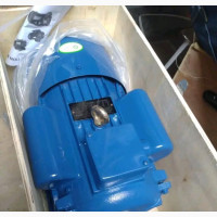Electric Motor 4kw 5hp 2800 RPM Single Phase