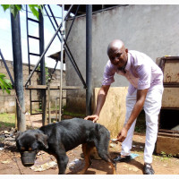 Vet Services: Treatment, Vaccination More
