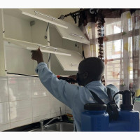 Fumigation Services for Crockroaches, Roaches, Mosquitoes