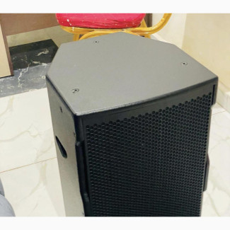 12inch Hinging Speakers