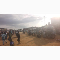 Supermarket Size Shop Along Owutu Ishawo Igbo-Olomu Rd Ikd