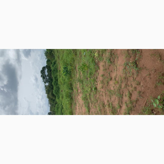Lands Available for Sell