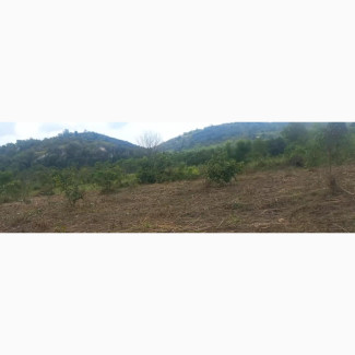 Agriculturist /Farm Manager