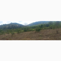 Agriculturist /Farm Manager